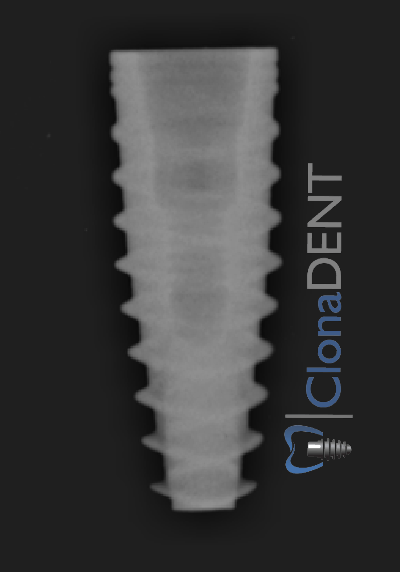 Neodent