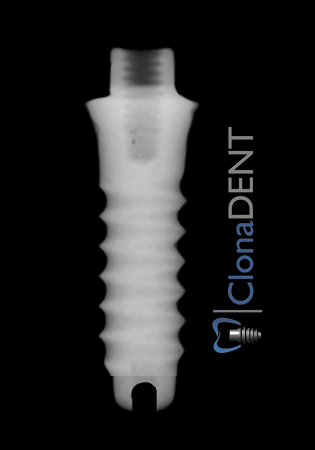 Neodent